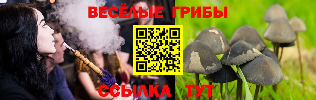 Галлюциногенные грибы Cubensis  Вход с VPN  Псилоцибиновые грибы ЛСД  Зерноград 